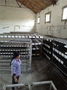 武漢安德裝飾材料廠攜手阿土伯網(wǎng)，開啟建筑裝飾材料熱賣促銷盛宴